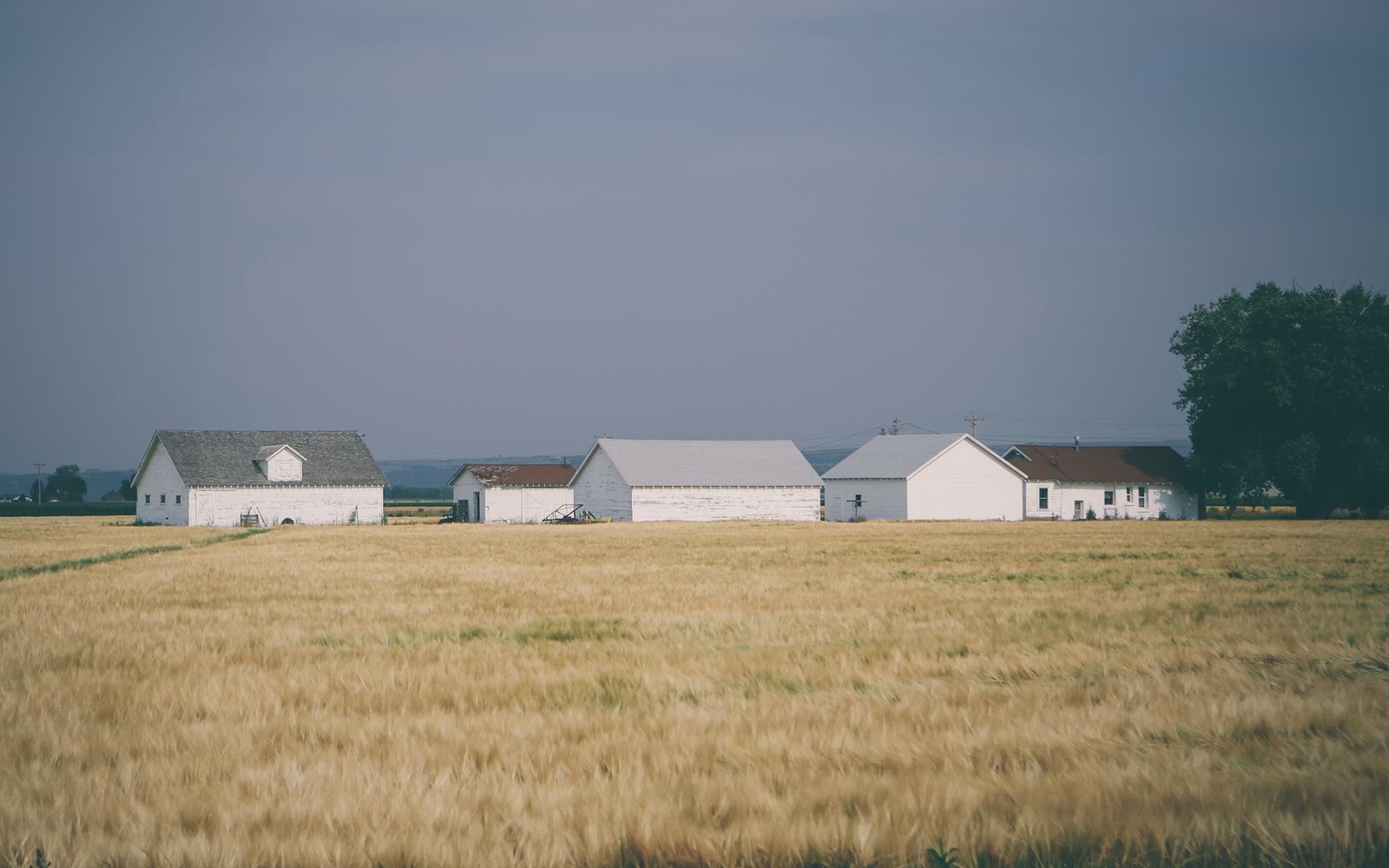 Minerals in Probate & Estates